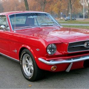 Mustang Klaus
